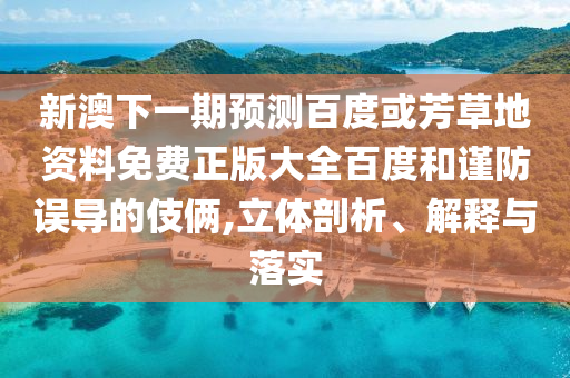 新澳下一期预测百度或芳草地资料免费正版大全百度和谨防误导的伎俩,立体剖析、解释与落实